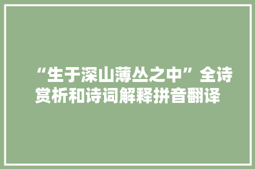 “生于深山薄丛之中”全诗赏析和诗词解释拼音翻译