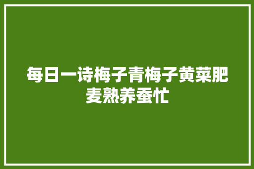 每日一诗梅子青梅子黄菜肥麦熟养蚕忙