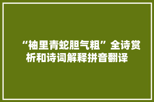 “袖里青蛇胆气粗”全诗赏析和诗词解释拼音翻译