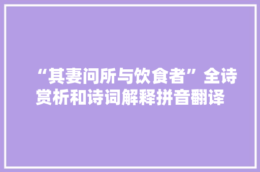 “其妻问所与饮食者”全诗赏析和诗词解释拼音翻译