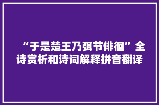 “于是楚王乃弭节俳徊”全诗赏析和诗词解释拼音翻译