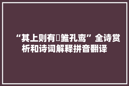 “其上则有鹓雏孔鸾”全诗赏析和诗词解释拼音翻译