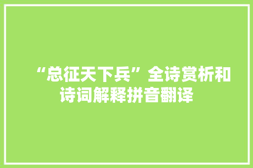 “总征天下兵”全诗赏析和诗词解释拼音翻译