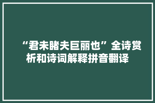 “君未睹夫巨丽也”全诗赏析和诗词解释拼音翻译
