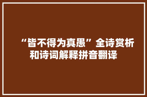 “皆不得为真愚”全诗赏析和诗词解释拼音翻译