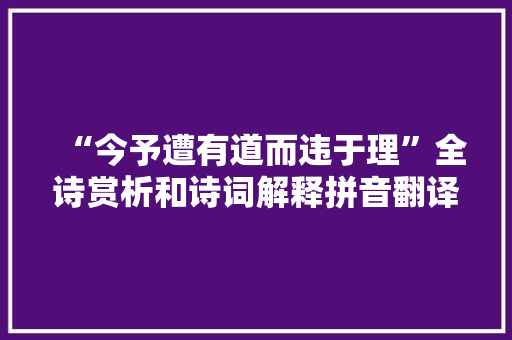 “今予遭有道而违于理”全诗赏析和诗词解释拼音翻译