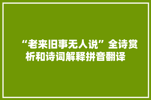 “老来旧事无人说”全诗赏析和诗词解释拼音翻译