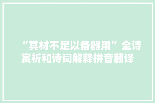 “其材不足以备器用”全诗赏析和诗词解释拼音翻译