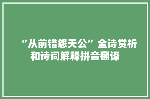 “从前错怨天公”全诗赏析和诗词解释拼音翻译