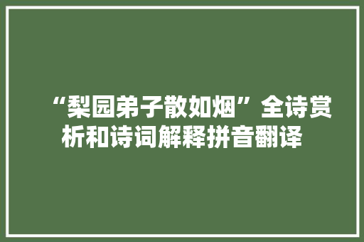 “梨园弟子散如烟”全诗赏析和诗词解释拼音翻译