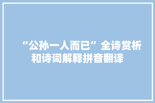 “公孙一人而已”全诗赏析和诗词解释拼音翻译