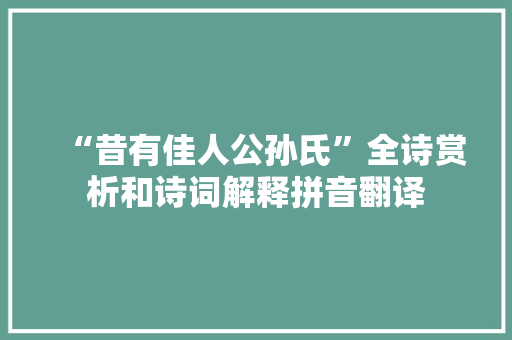 “昔有佳人公孙氏”全诗赏析和诗词解释拼音翻译