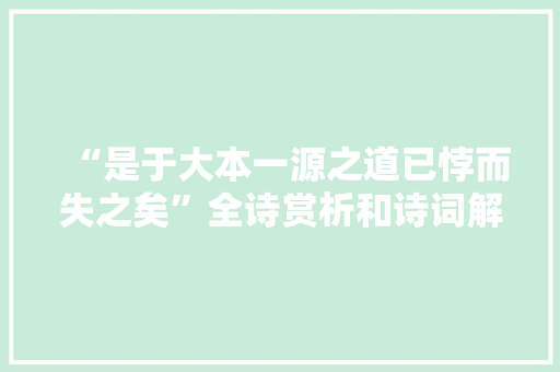 “是于大本一源之道已悖而失之矣”全诗赏析和诗词解释拼音翻译