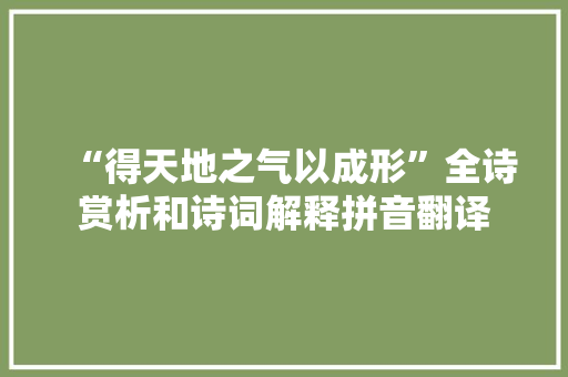 “得天地之气以成形”全诗赏析和诗词解释拼音翻译