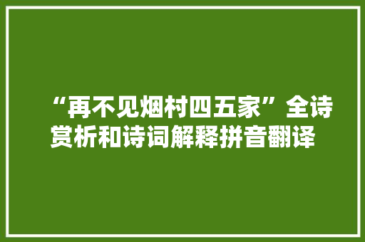 “再不见烟村四五家”全诗赏析和诗词解释拼音翻译