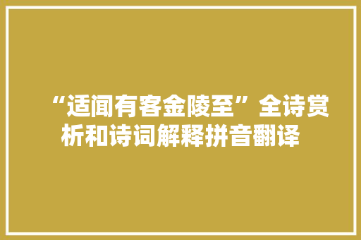 “适闻有客金陵至”全诗赏析和诗词解释拼音翻译