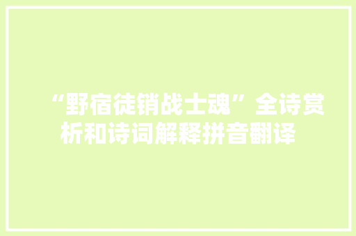 “野宿徒销战士魂”全诗赏析和诗词解释拼音翻译