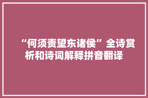 “何须责望东诸侯”全诗赏析和诗词解释拼音翻译