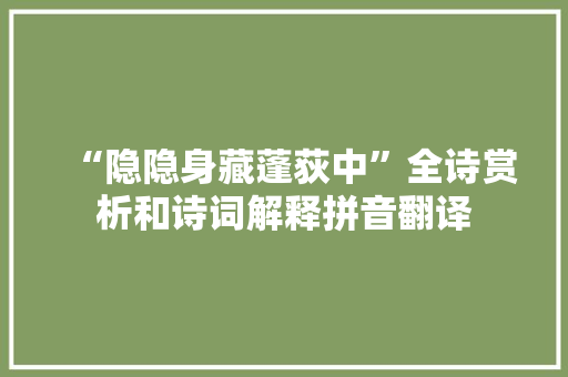 “隐隐身藏蓬荻中”全诗赏析和诗词解释拼音翻译
