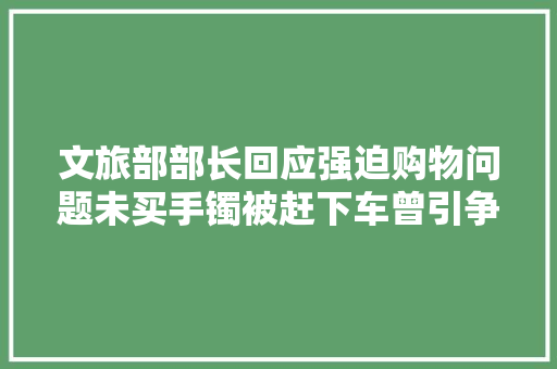 文旅部部长回应强迫购物问题未买手镯被赶下车曾引争议