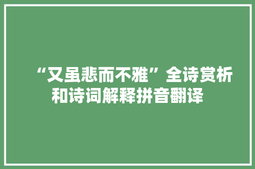 “又虽悲而不雅”全诗赏析和诗词解释拼音翻译