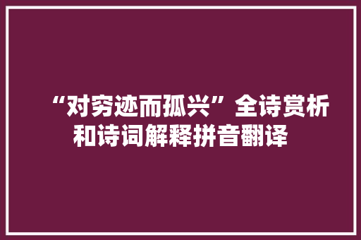 “对穷迹而孤兴”全诗赏析和诗词解释拼音翻译