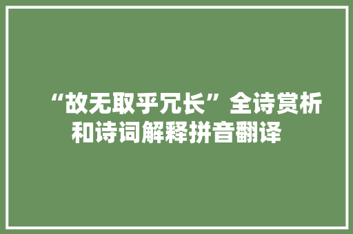 “故无取乎冗长”全诗赏析和诗词解释拼音翻译