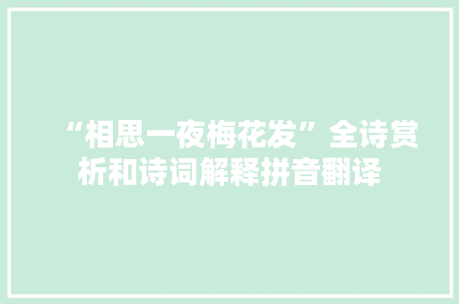 “相思一夜梅花发”全诗赏析和诗词解释拼音翻译