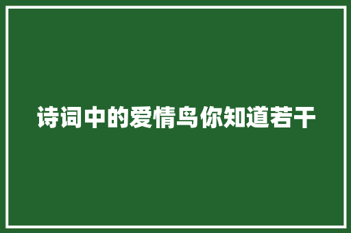 诗词中的爱情鸟你知道若干 诗词中的爱情鸟你知道若干
