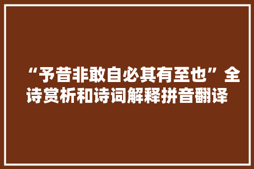 “予昔非敢自必其有至也”全诗赏析和诗词解释拼音翻译