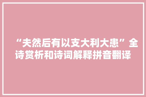 “夫然后有以支大利大患”全诗赏析和诗词解释拼音翻译