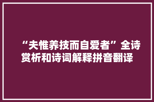 “夫惟养技而自爱者”全诗赏析和诗词解释拼音翻译