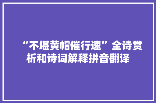 “不堪黄帽催行速”全诗赏析和诗词解释拼音翻译