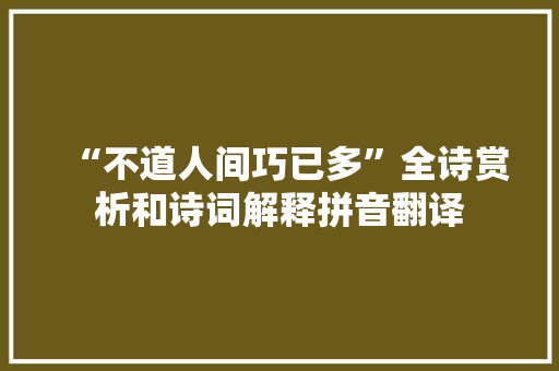 “不道人间巧已多”全诗赏析和诗词解释拼音翻译