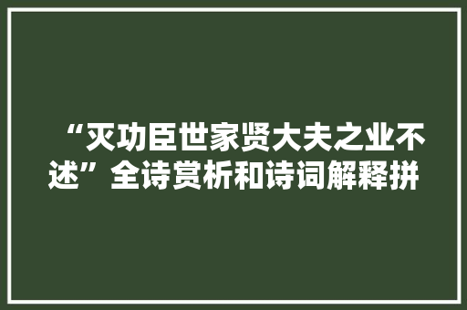 “灭功臣世家贤大夫之业不述”全诗赏析和诗词解释拼音翻译