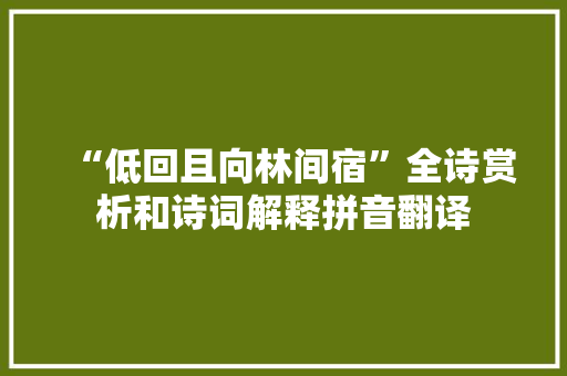 “低回且向林间宿”全诗赏析和诗词解释拼音翻译