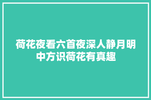 荷花夜看六首夜深人静月明中方识荷花有真趣