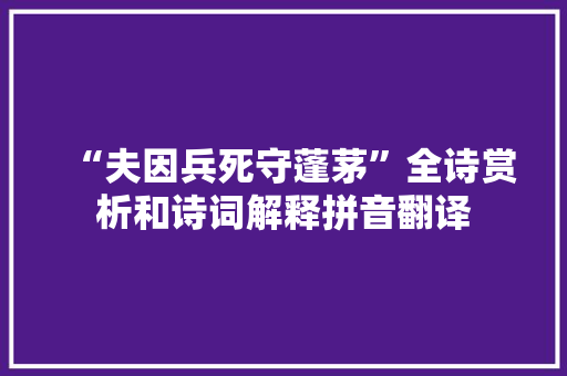 “夫因兵死守蓬茅”全诗赏析和诗词解释拼音翻译