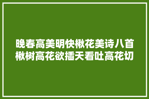 晚春高美明快楸花美诗八首楸树高花欲插天看吐高花切切层