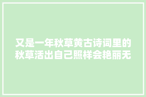 又是一年秋草黄古诗词里的秋草活出自己照样会艳丽无比