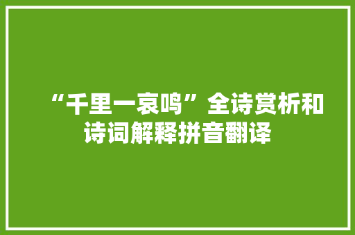 “千里一哀鸣”全诗赏析和诗词解释拼音翻译