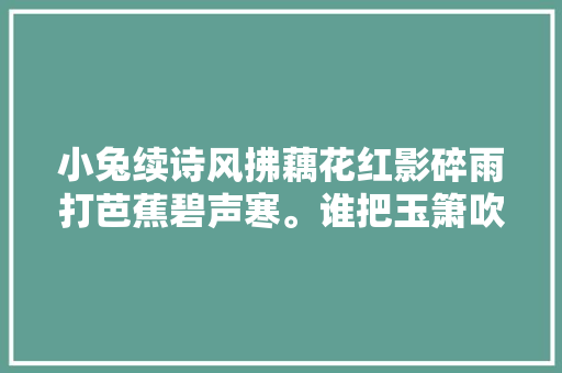 小兔续诗风拂藕花红影碎雨打芭蕉碧声寒。谁把玉箫吹落月