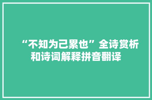 “不知为己累也”全诗赏析和诗词解释拼音翻译