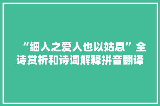 “细人之爱人也以姑息”全诗赏析和诗词解释拼音翻译