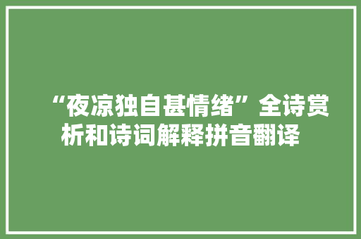 “夜凉独自甚情绪”全诗赏析和诗词解释拼音翻译