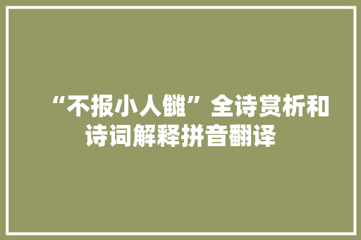 “不报小人雠”全诗赏析和诗词解释拼音翻译