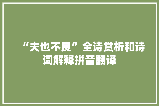 “夫也不良”全诗赏析和诗词解释拼音翻译