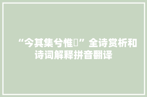 “今其集兮惟鸮”全诗赏析和诗词解释拼音翻译