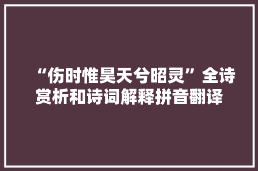 “伤时惟昊天兮昭灵”全诗赏析和诗词解释拼音翻译