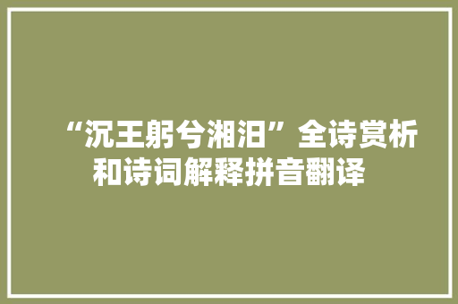 “沉王躬兮湘汨”全诗赏析和诗词解释拼音翻译
